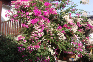 Кипр, остров тишины