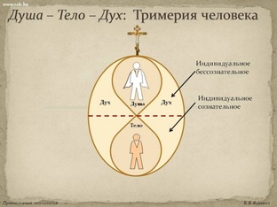 Квантовая психология 
