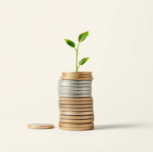 Контроль расходов и бюджет