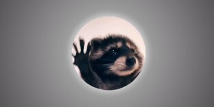 мемное радио