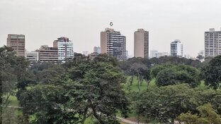 Перуанец в России 2023 год