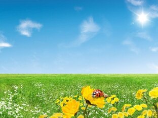 Природа, и мир вокруг нас