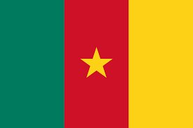 CAMEROUN TODOS LOS PARTIDOS