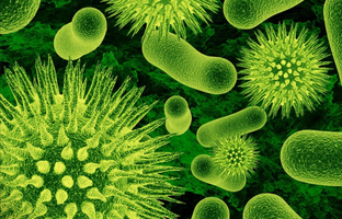 Микромир и здоровье: тайны инфекционных заболеваний