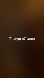 О древнеиндийской Т-игре «Лила»