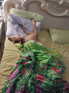 Сон