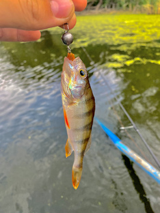 Пособие новичка спиннингиста. Две части.