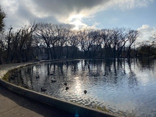 Рассуждения 🤔 