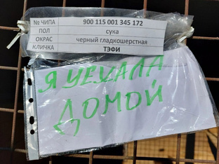 Я дома
