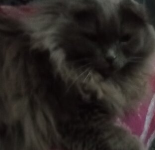 Что происходит вокруг