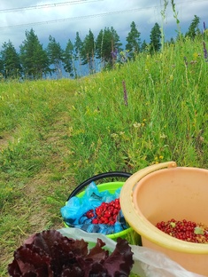 Остановись мгновенье,я снимаю!