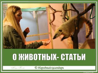 О ЖИВОТНЫХ, ПТИЦАХ: СТАТЬИ, ПОСТЫ, ТЕСТЫ