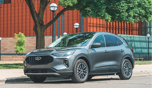 Знакомимся с гибридами 