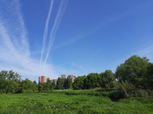 Воскресная прогулка в Путилково и обратно