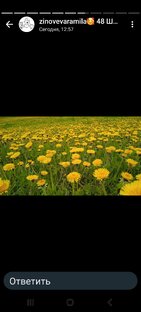 Состояние души или тела?