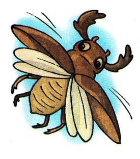 Хитиновый Покров