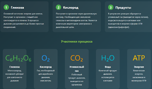 Формула жизни