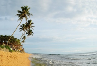 Шри-Ланка 2013