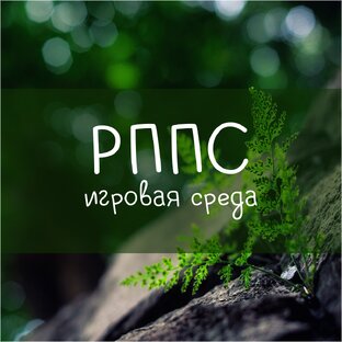 РППС