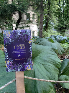 Отзывы на книги