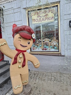 Поездка по "Золотому кольцу" Владимир и область