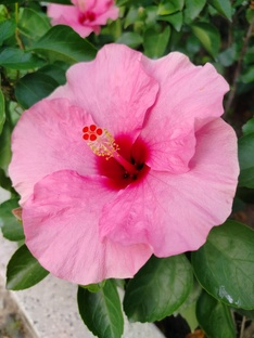 Занзибар,2021 год