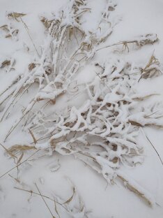 Герда и дед Мороз