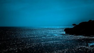 Важное для моряков и их семей