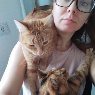 Здоровье кота