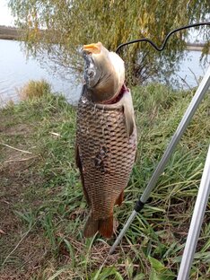 Рыбка🐟