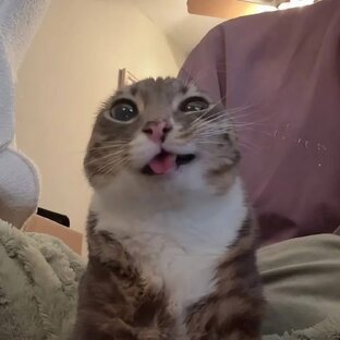 Деловые линии