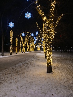 Новосибирск 