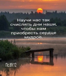 Откровения многомамы
