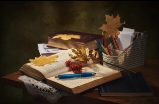 "Спасти Немку", повесть в 14 главах