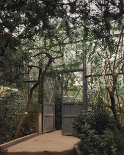 Сады Петербурга