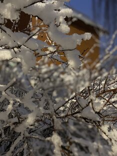 Важная ИНФОРМАЦИЯ и ОБЪЯВЛЕНИЯ ❤️