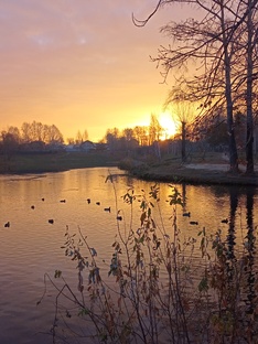 Психология, саморазвитие 