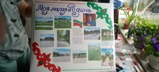 Проект в школу