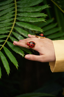 Анималистика