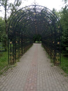 Страхи, неврозы, тревожность.