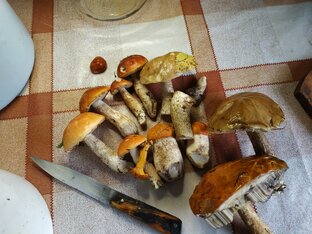 За грибами