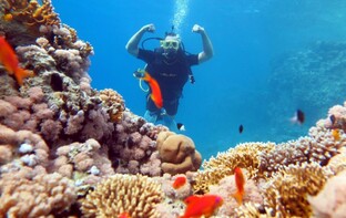 ПРО ЕГИПЕТ 🇪🇬