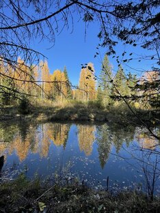 Денежные законы