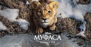Фильмы 2024 HD