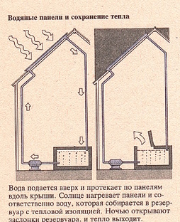 Как выращивать растения в теплице 