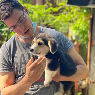 Команды для дрессировки