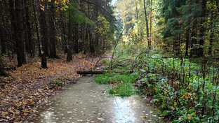 Мир без виз