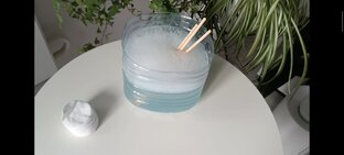 Обработка орхидей от вредителей