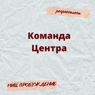 Наша команда