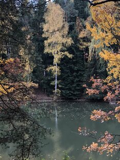 Времена года. Природа. Съемка таймлапс